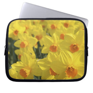 Niederlande, Holland, Lisse, Keukenhof-Gärten, Laptopschutzhülle