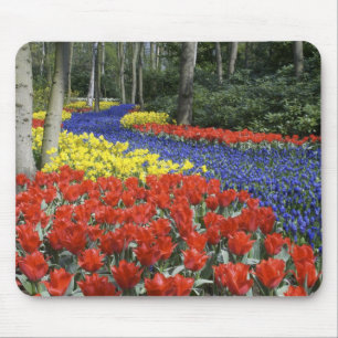 Niederlande, Holland, Lisse, Keukenhof-Gärten Mousepad