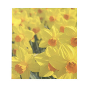 Niederlande, Holland, Lisse, Keukenhof-Gärten, Notizblock