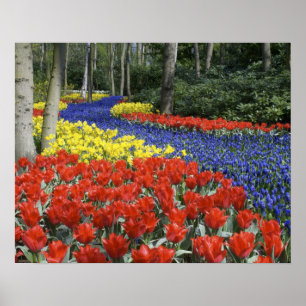 Niederlande, Holland, Lisse, Keukenhof-Gärten Poster