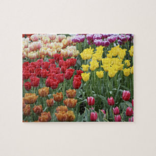 Niederlande, Keukenhoff-Gärten, Tulpen.