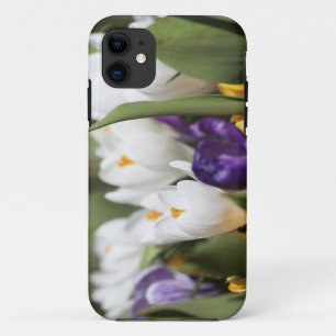 Niederlande, Keukenhoff-Gärten, Tulpen. title_seo2