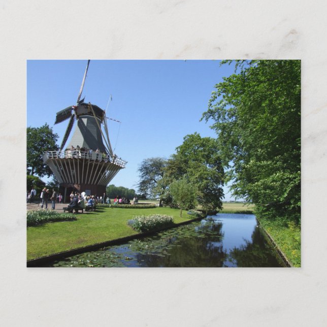 Niederlande Postkarte (Vorderseite)