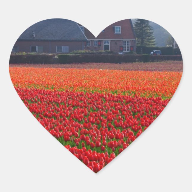 Niederlande: Tulip Field in Holland Herz-Aufkleber (Vorderseite)