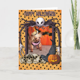 Niederländer - Chihuahua - Foto-7 Karte