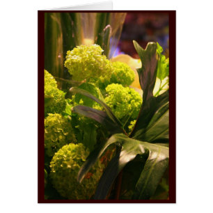 Niederländische Blumen