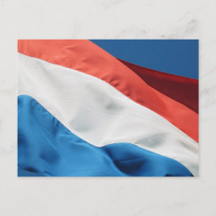 Niederländische Flagge Postkarte