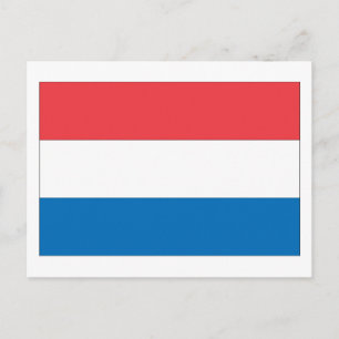 Niederländische Flagge Postkarte
