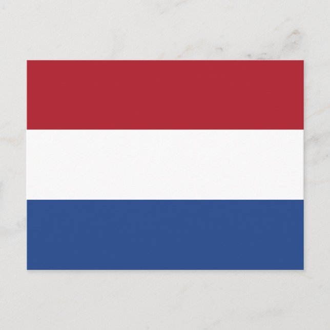 Niederländische Flagge Postkarte (Vorderseite)