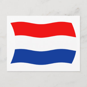 Niederländische Flagge Postkarte