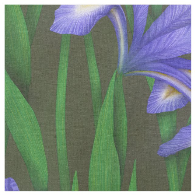Niederländische Iris (großformatig) Stoff (Nahaufnahme)