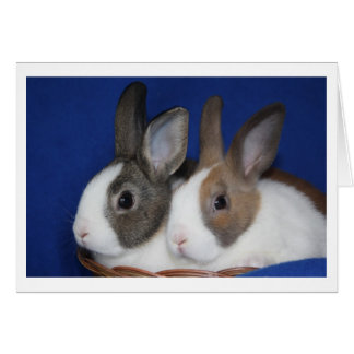 Niederländische Rabbit-Blank-Karte