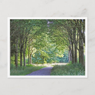 Niederländische Region Salland Westerveldse Bos Wa Postkarte