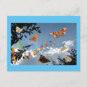 Niederländische Schmetterlinge keuchen. Frame Birt Postkarte