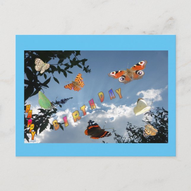 Niederländische Schmetterlinge keuchen. Frame Birt Postkarte (Vorderseite)