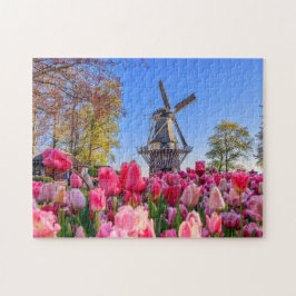 Niederländische Windmühle und Tulips