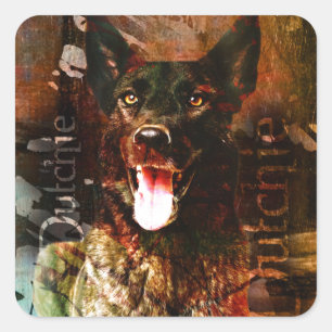 Niederländischer-ContrastTankDutch Schäferhund - Quadratischer Aufkleber