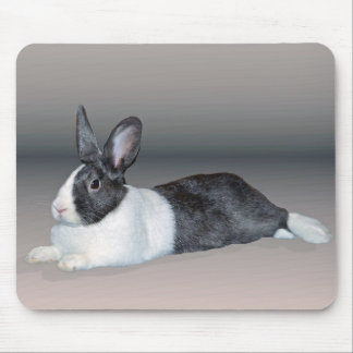 Niederländisches entspannendes Häschen Mousepad