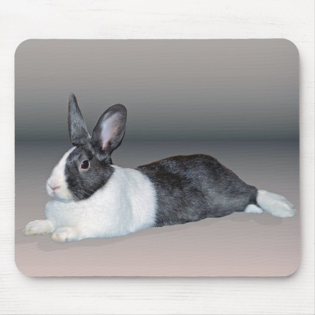 Niederländisches entspannendes Häschen Mousepad (Vorne)