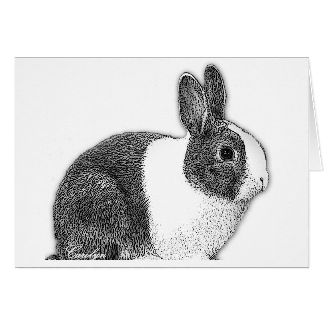 Niederländisches Häschen (Vorderseite (Horizontal))