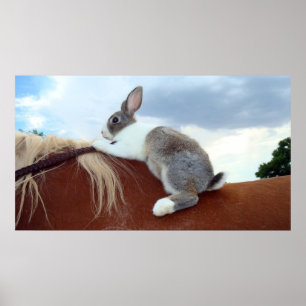 Niederländisches Kaninchen, das ein Pferd reitet Poster