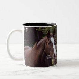 Niederländisches Warmblut-Pferd - Tina Zweifarbige Tasse