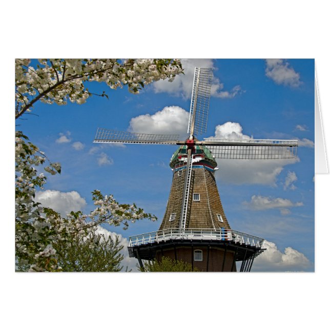 Niederländisches Windmühle (Vorderseite (Horizontal))