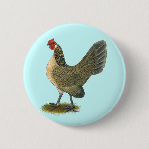 Niederländisches Zwerghuhn:  Blaue Wachtel-Henne Button