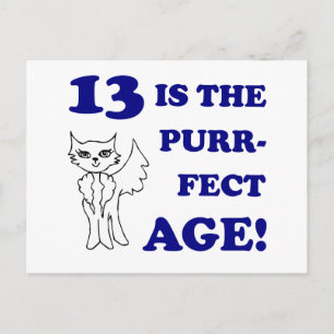 Niedlich 13. Geburtstag Gegenwart Postkarte