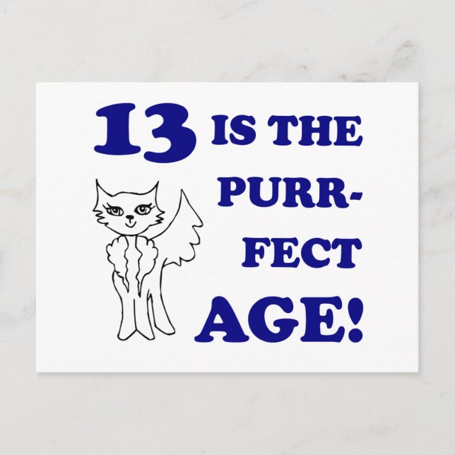 Niedlich 13. Geburtstag Gegenwart Postkarte (Vorderseite)