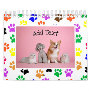 Niedlich 13 Haustiere (12 + Abdeckung) Foto 2025 K Kalender