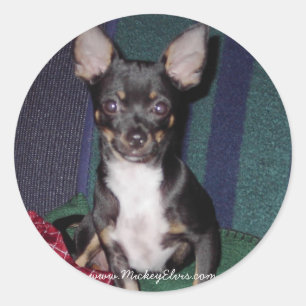 Niedlich & Adorable MickeyElvis Runder Aufkleber