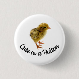 Niedlich als Knopfdruck Quail Button