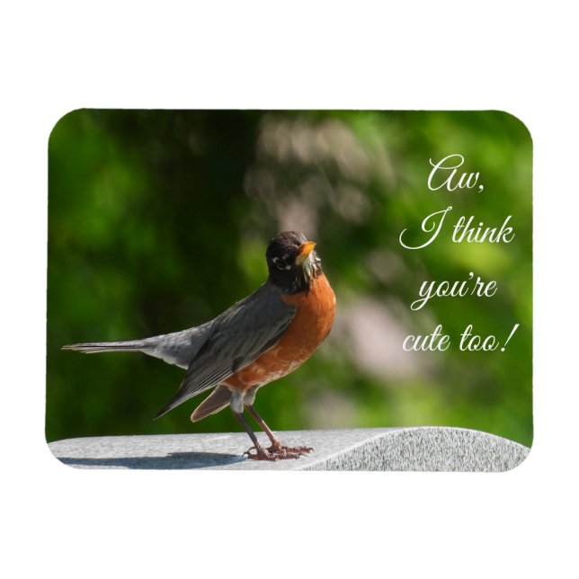 Niedlich American Robin *nach Kundenwunsch* Magnet (Horizontal)