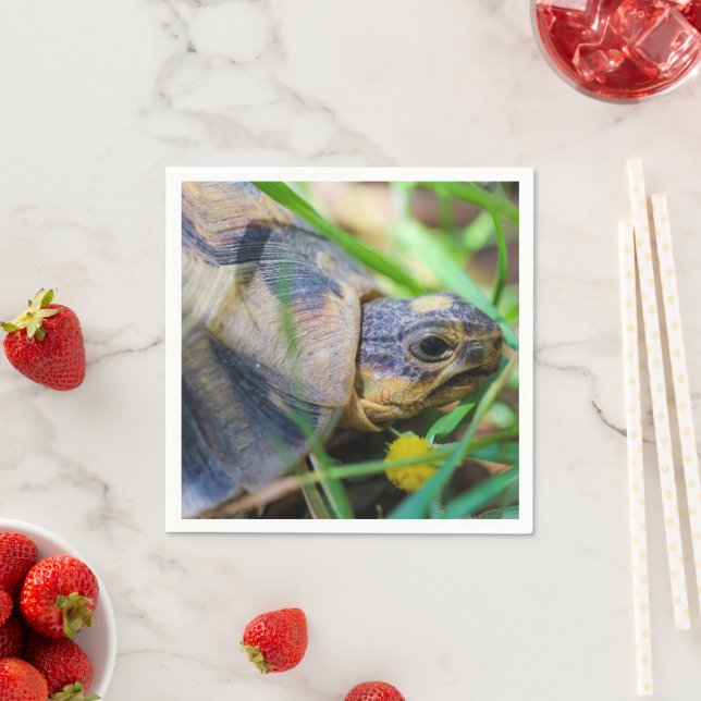 Niedlich Angulate Tortoise Südafrika Serviette (Beispiel)