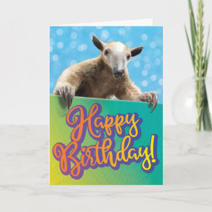 Niedlich Ant Eater Funny Belated Geburtstag Karte