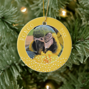 Niedlich Ara Pet Parrot Foto Star Gelbe Weihnachte Keramik Ornament