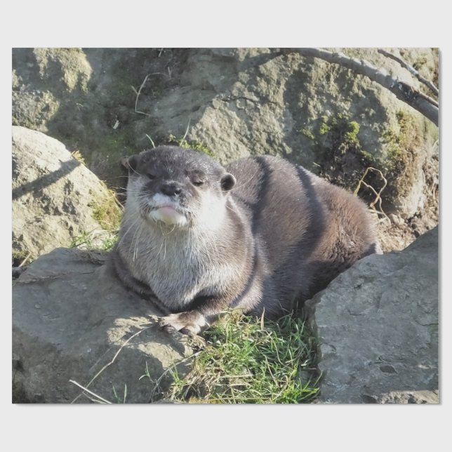 NIEDLICH ASIAN OTTER GESCHENKPAPIER (Flach)