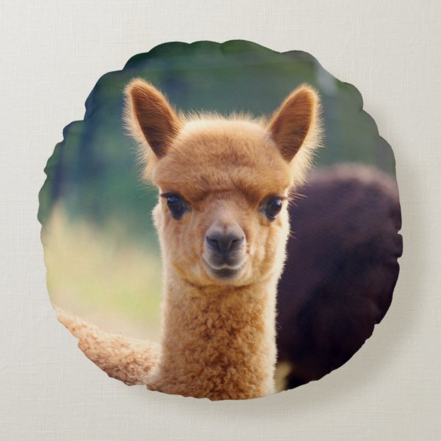 Niedlich Baby Alpaca Rundkissen Rundes Kissen (Vorderseite)
