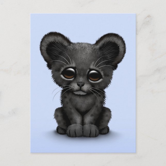 Niedlich Baby Black Panther Cub on Blue Postkarte (Vorderseite)
