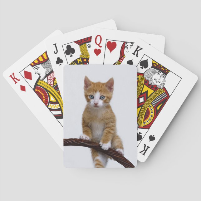 Niedlich Baby Cat Kitten Play Funny Gym Foto - Spielkarten (Rückseite)