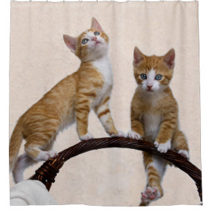 Niedlich Baby Cats Kittens Funny Play Gym Foto - T Duschvorhang