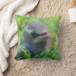 Niedlich Baby Cedar Waxwing Bird  Kissen