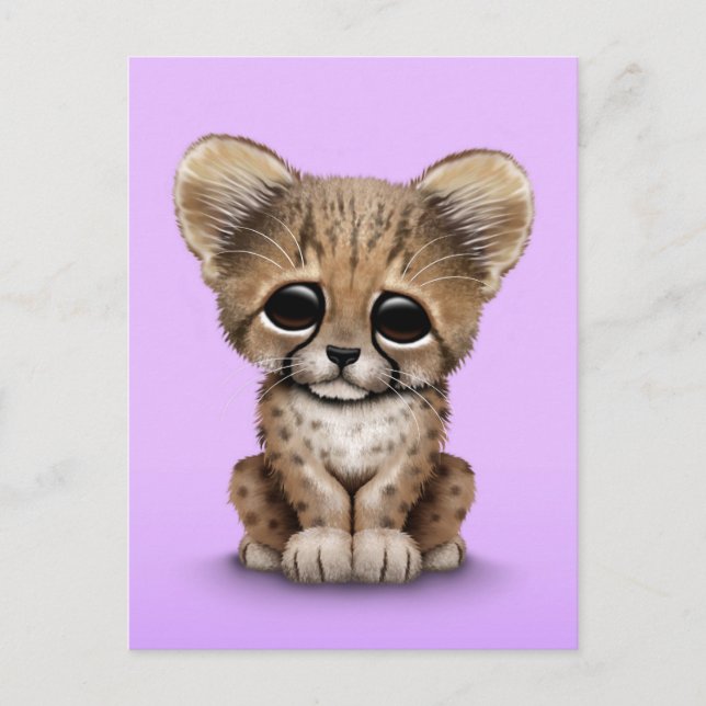 Niedlich Baby Cheetah Cub auf Lila Postkarte (Vorderseite)