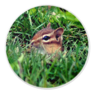 Niedlich Baby Chipmunk Peeking Wildlife   Keramikknauf