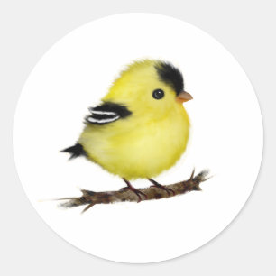 Niedlich Baby Goldfinch Bird Stickers