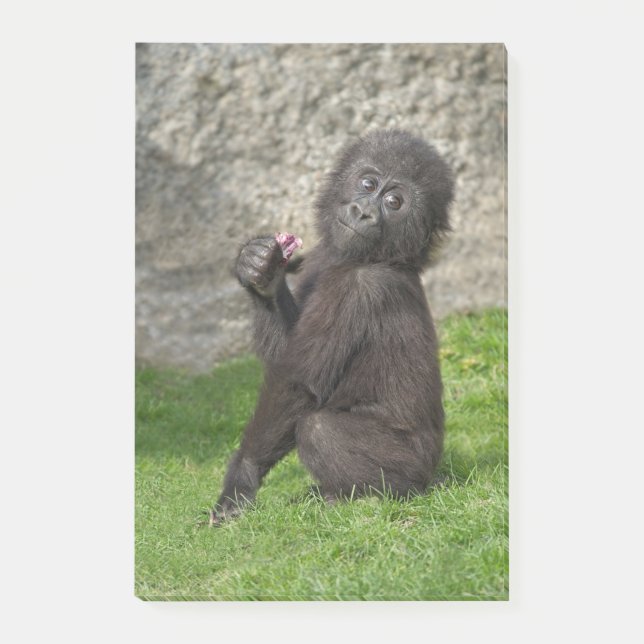 Niedlich Baby Gorilla Post-it Klebezettel (Vorderseite)