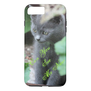 Niedlich Baby Gray Kitten iPhone Cover