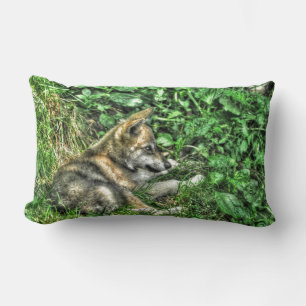 Niedlich Baby Gray Wolf Pup Wildlife Foto Lendenkissen