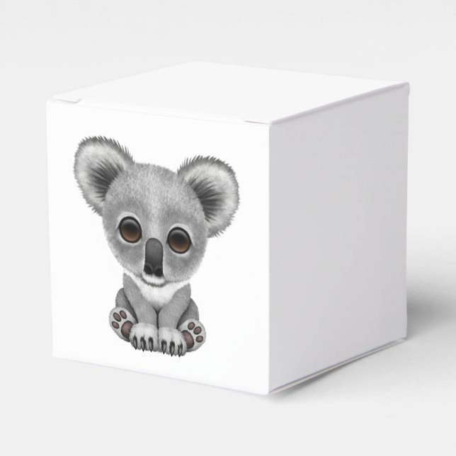 Niedlich Baby Koala Bear Cub Geschenkschachtel (Vorderseite)